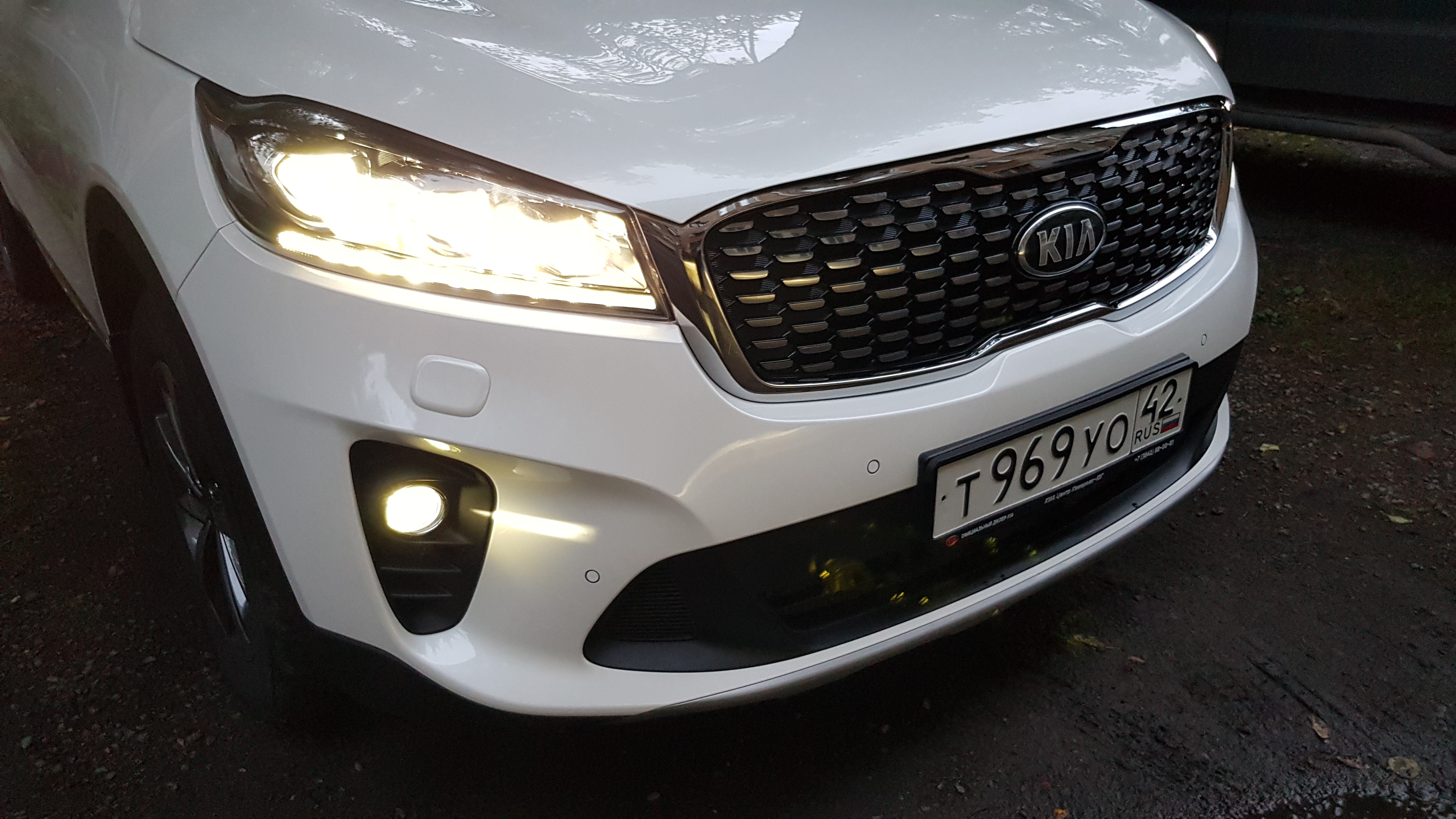 Замена ламп освещения салона Kia Sorento 2 - sk-zelenograd.ru